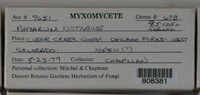 Image Associated With the Occurence